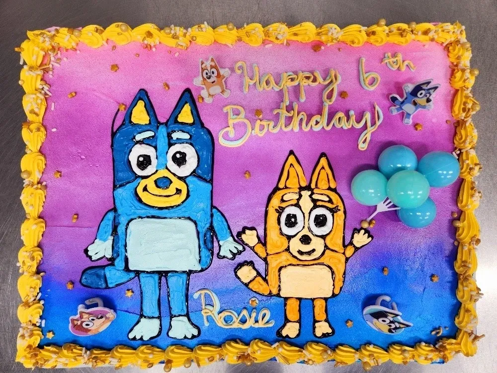our creation